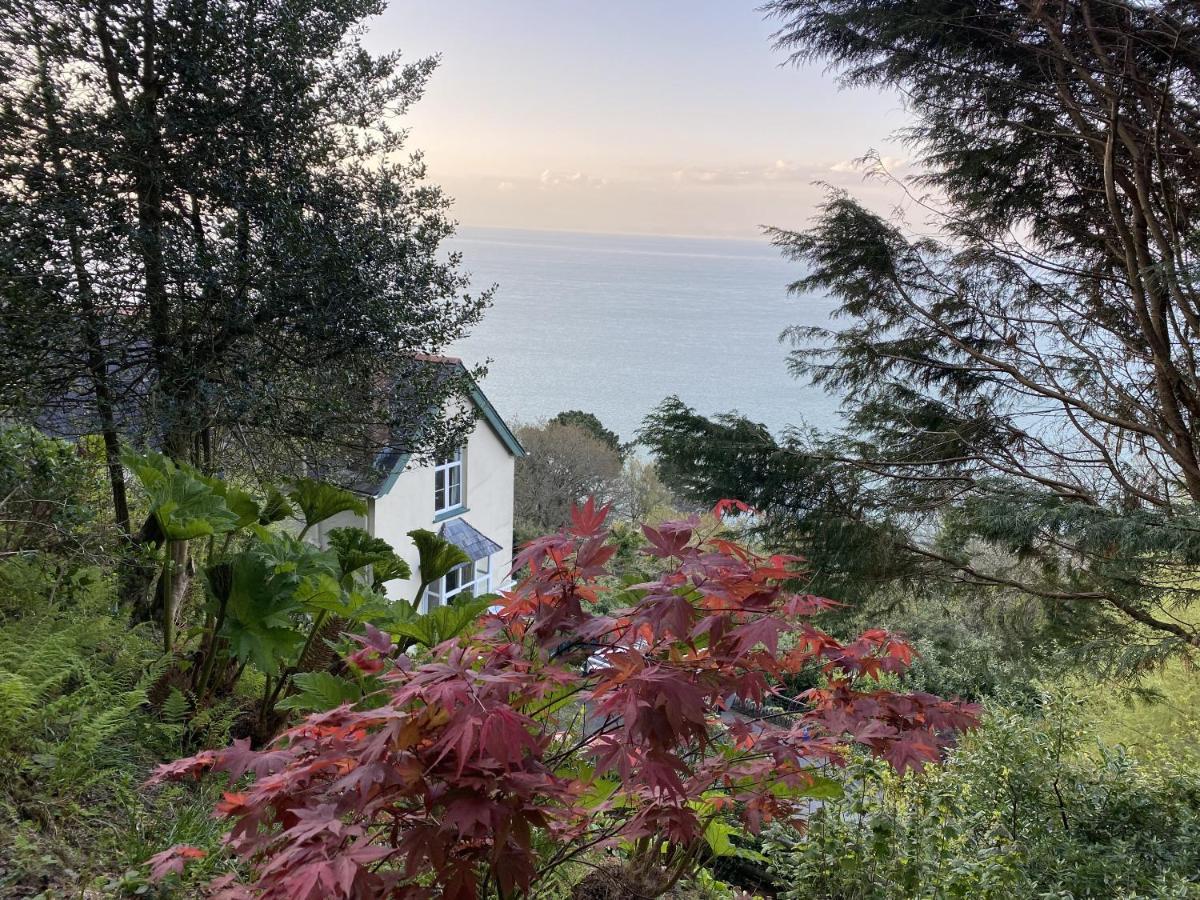 リントン North Walk House Bed & Breakfast エクステリア 写真