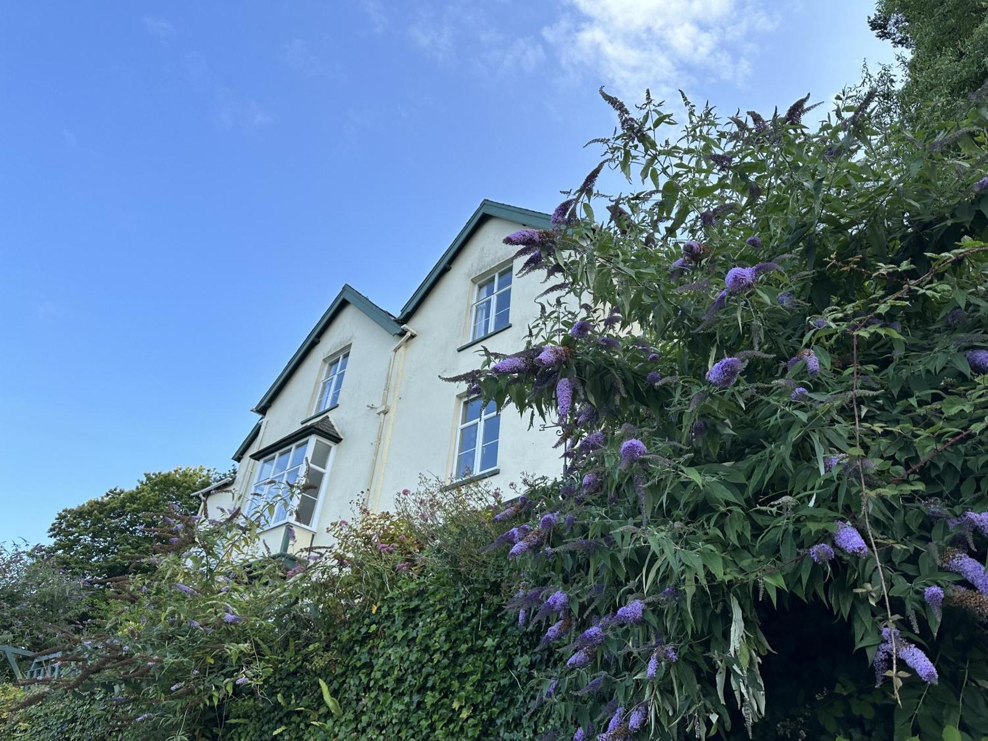 リントン North Walk House Bed & Breakfast エクステリア 写真